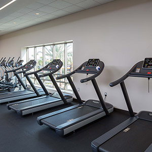 Fitness Center Treadmills & Ellipticals