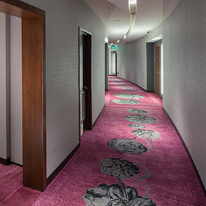 Hotel Corridor